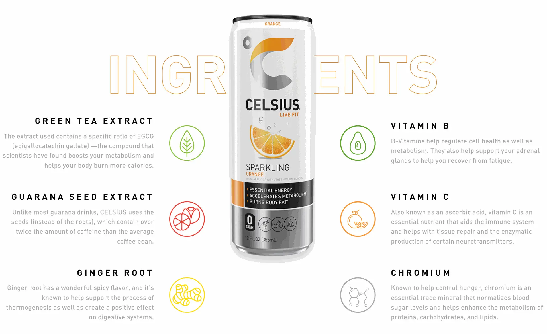 Celsius Orange Infographic Celsius Orange Infographic