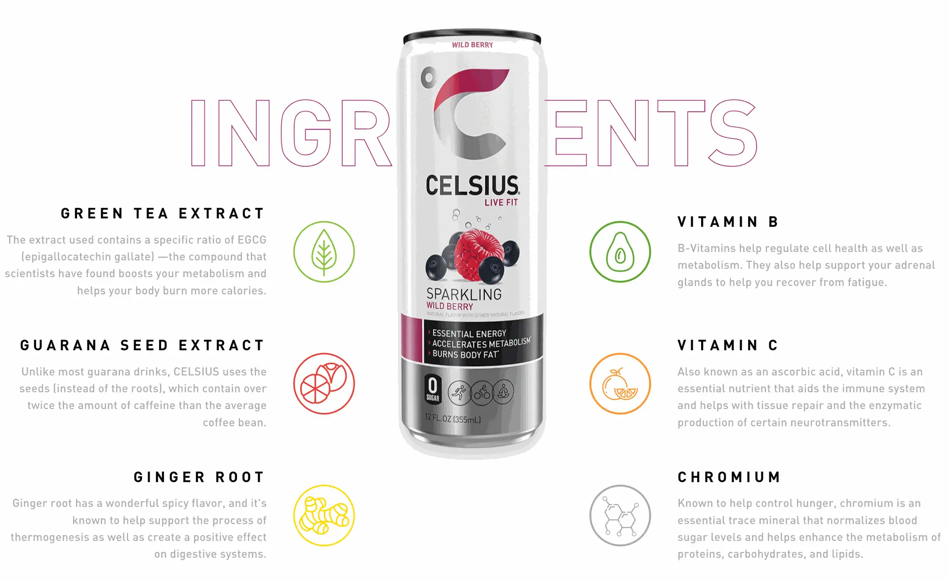 Celsius Wild Berry Infographic