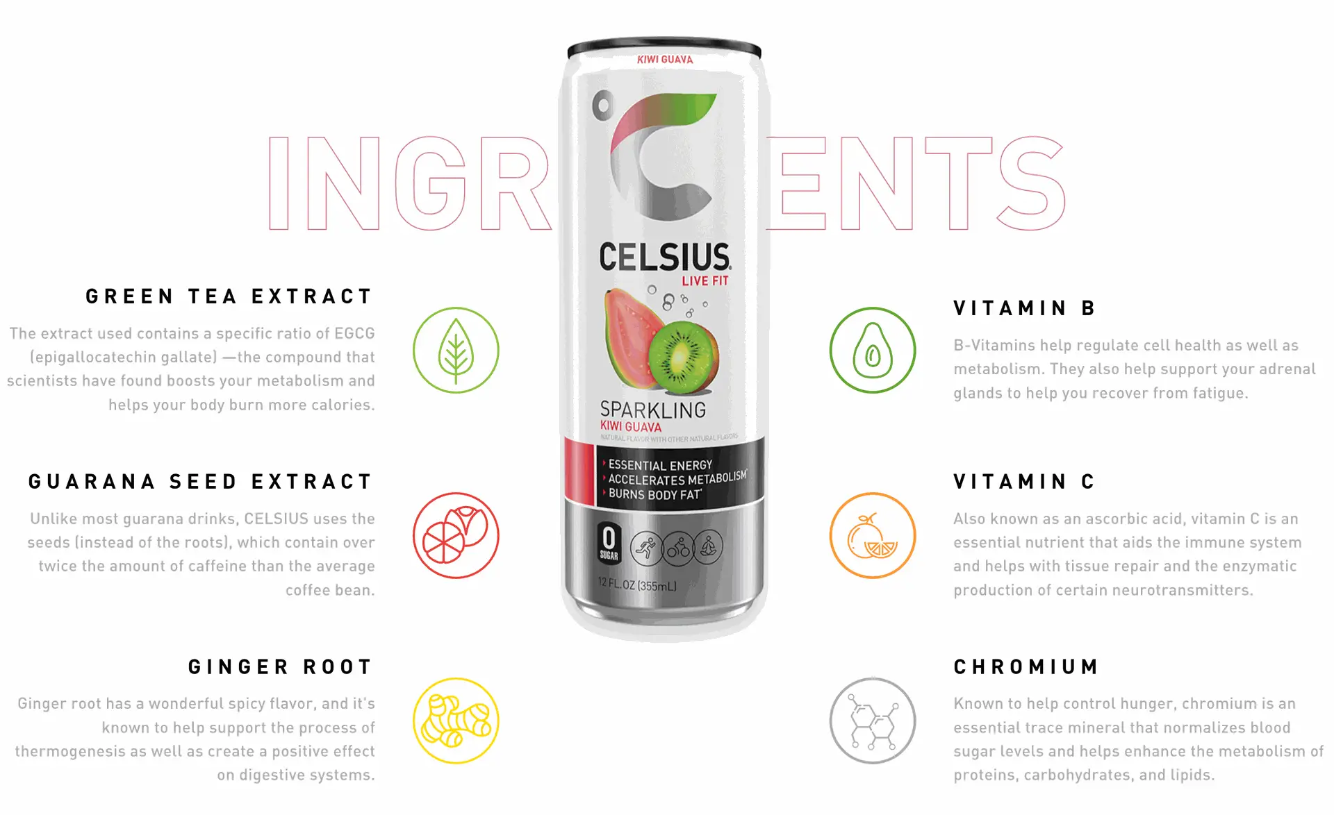 Celsius Kiwi Guava Infographic