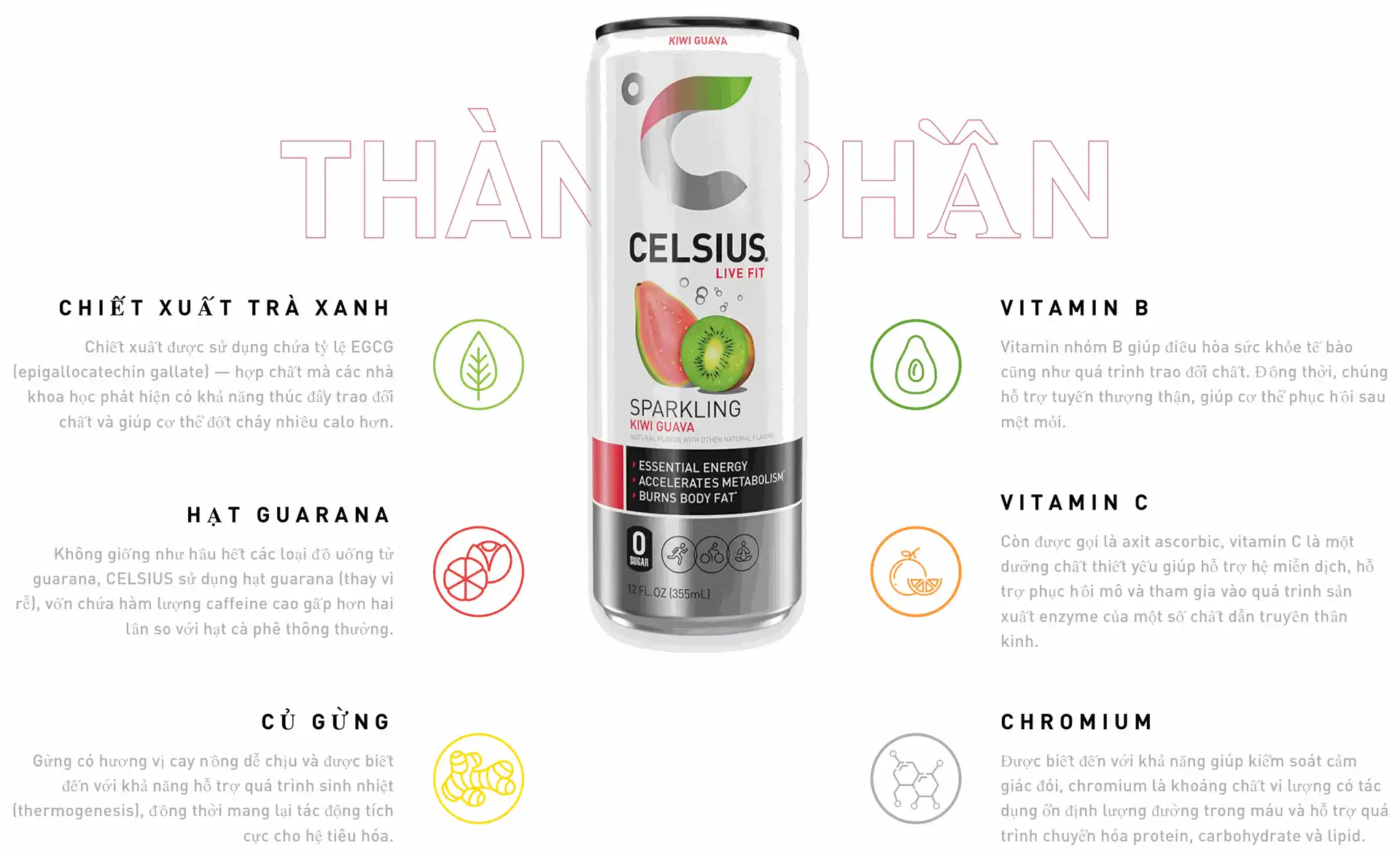 Celsius Kiwi Guava Infographic
