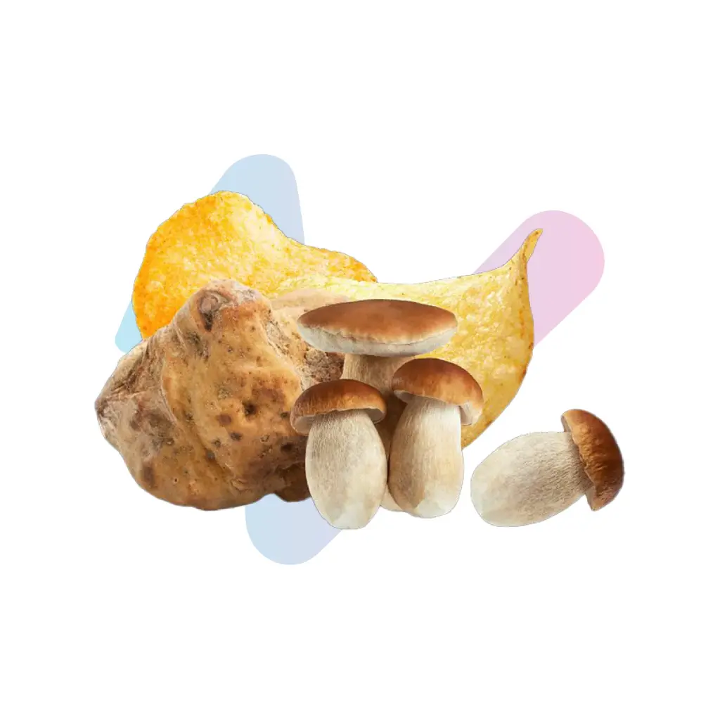 hunters-04.webp