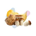 hunters-04.webp